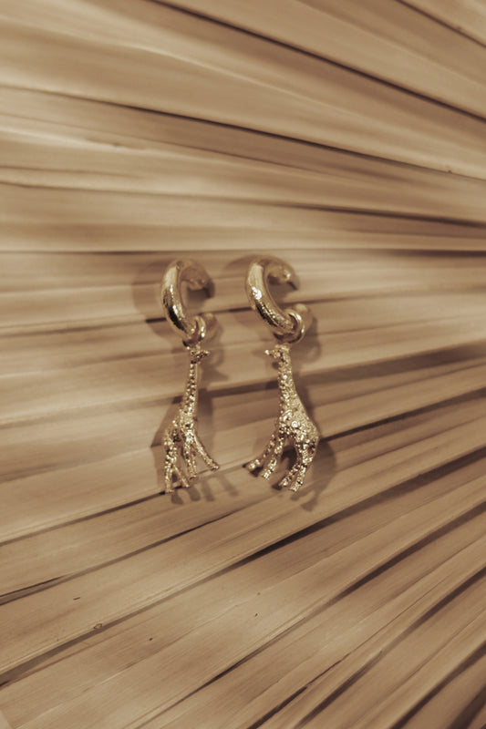 Argollas Filomena