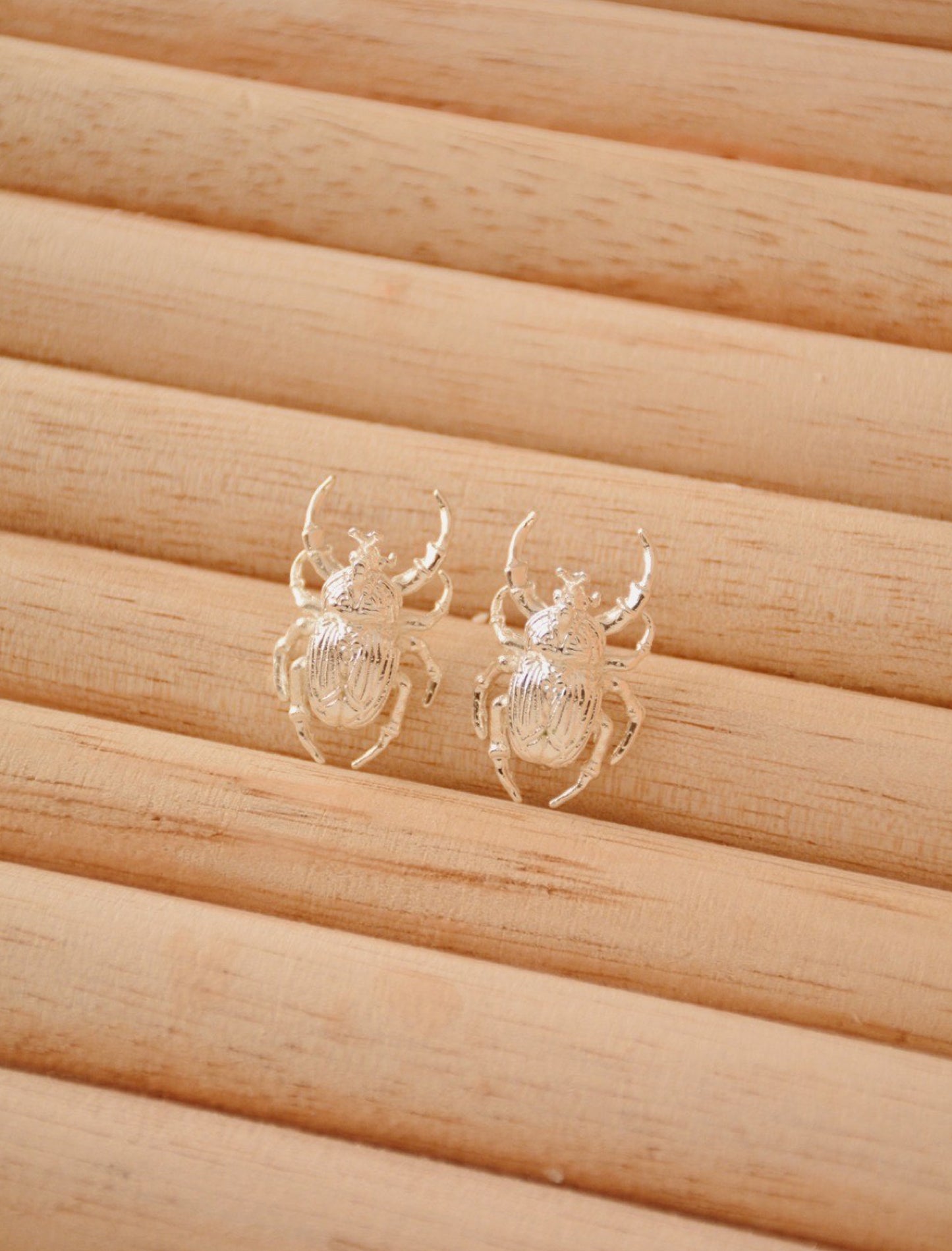 Aretes Escarabajo