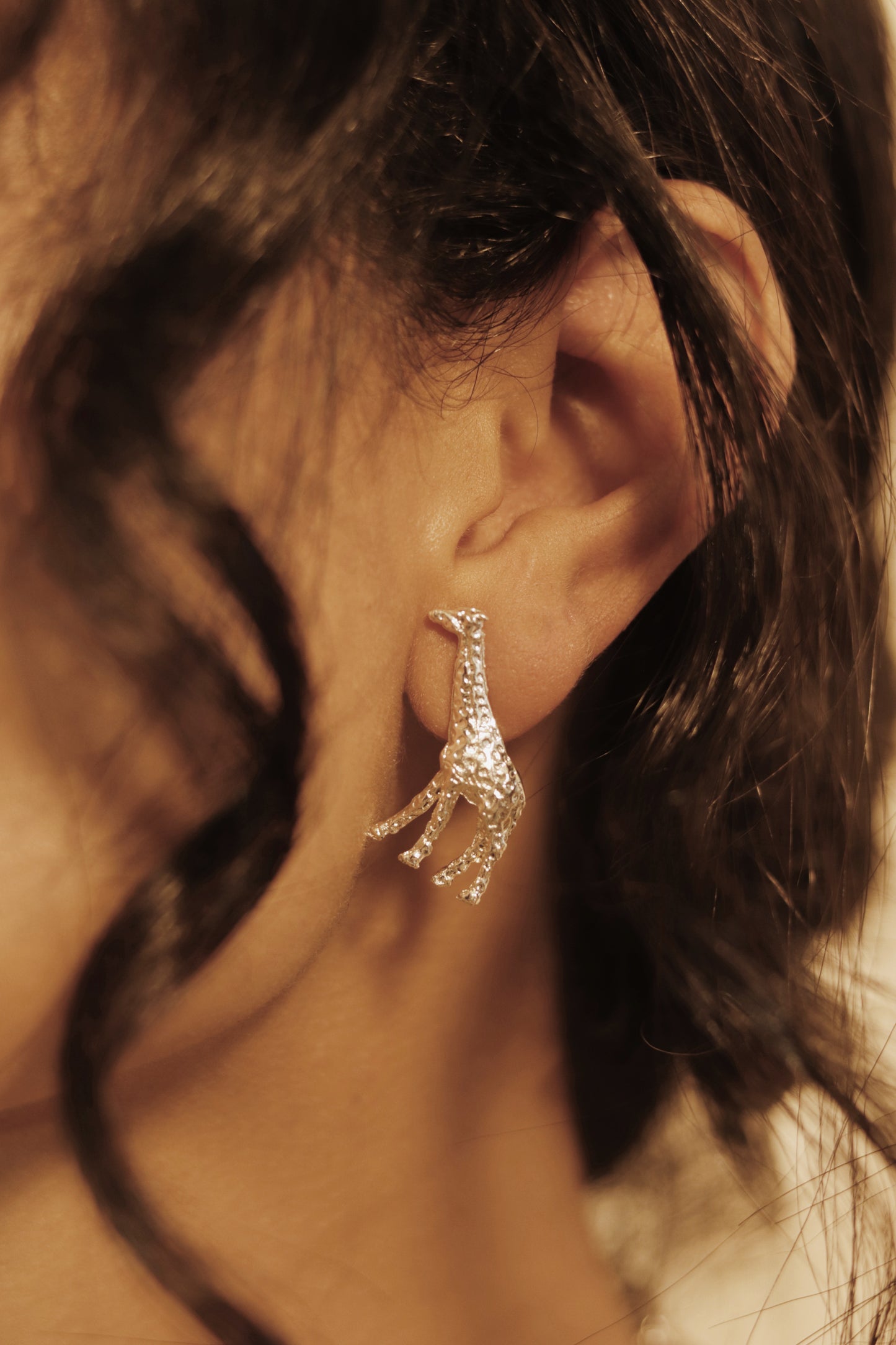 Aretes Filomena