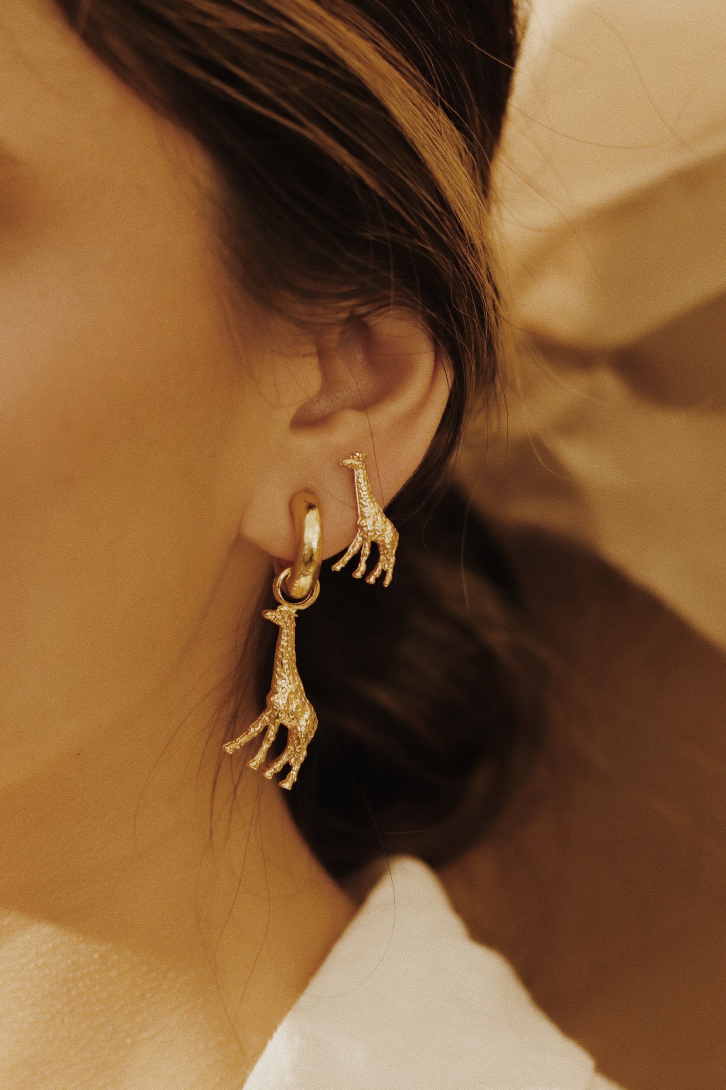 Argollas Filomena