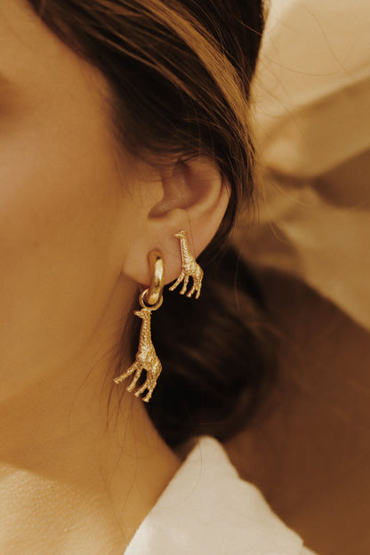 Argollas Filomena