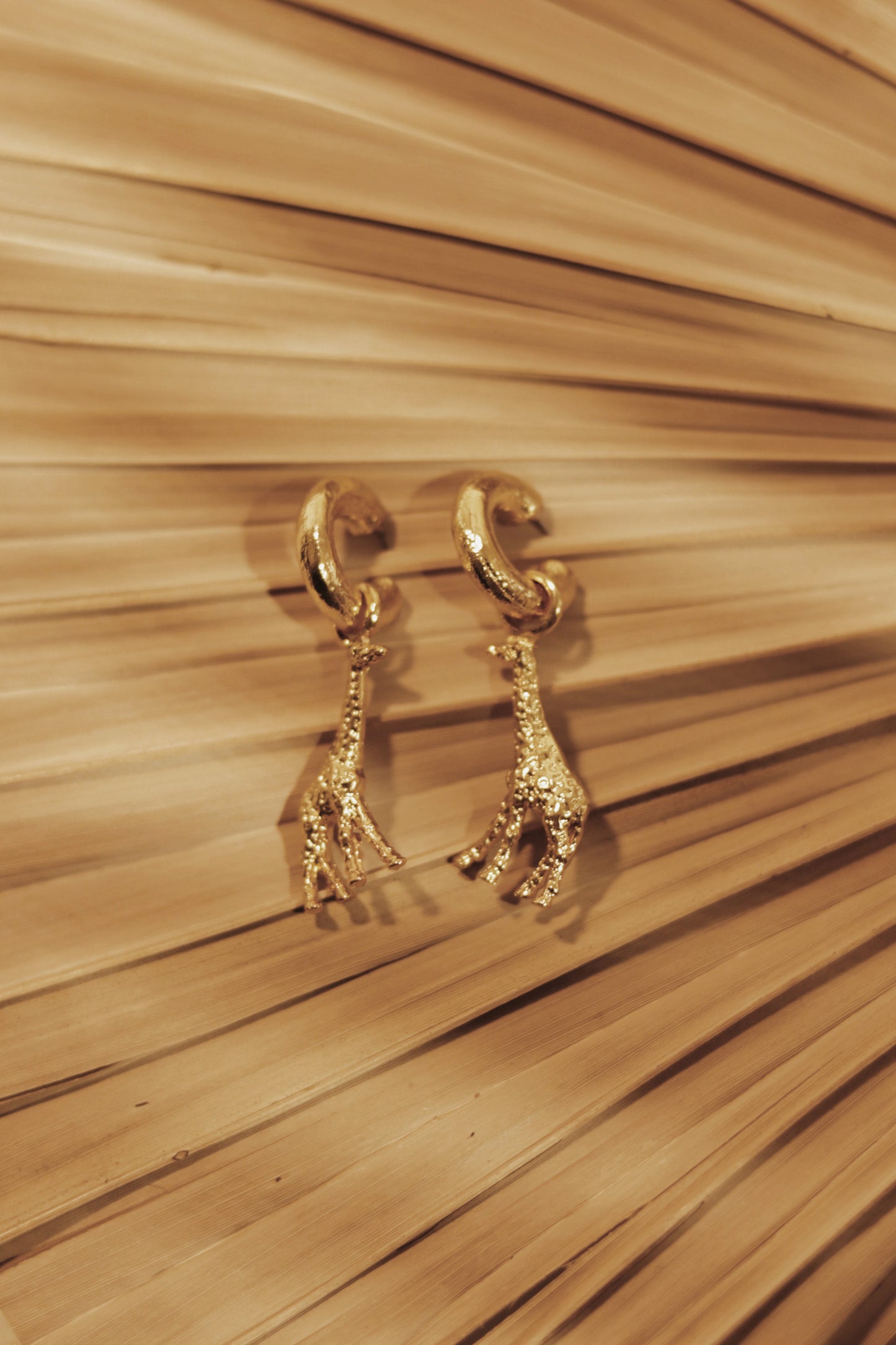 Argollas Filomena