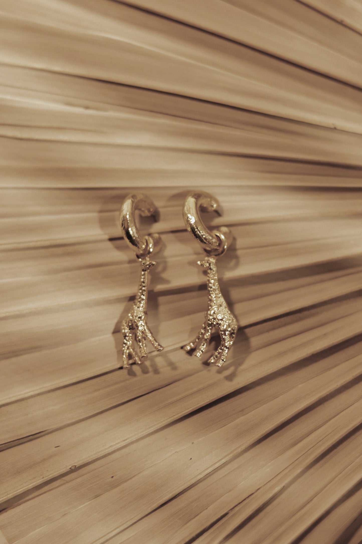 Argollas Filomena