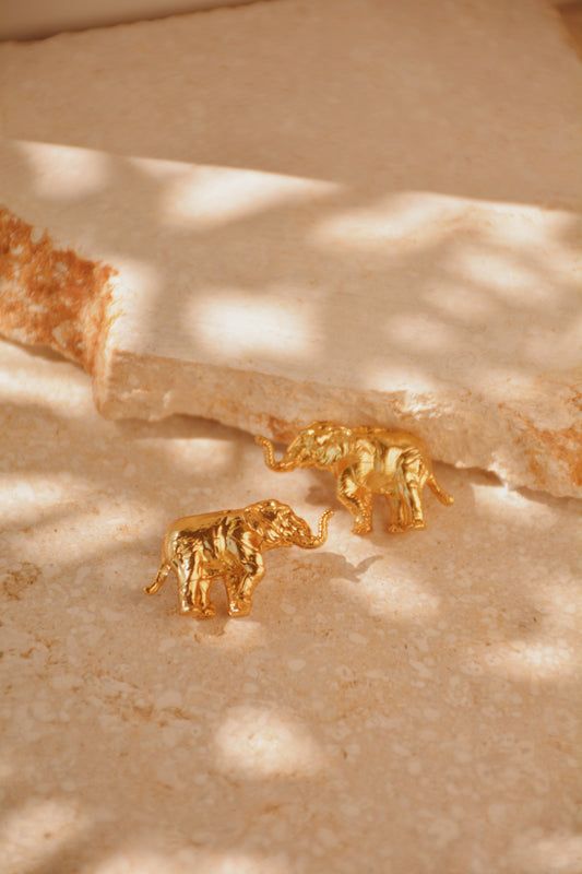 Aretes Tito