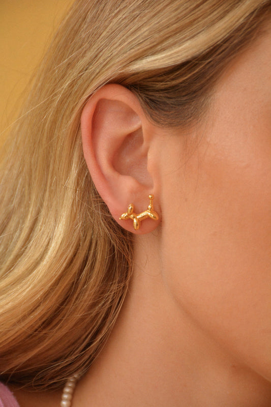 Aretes DogLove