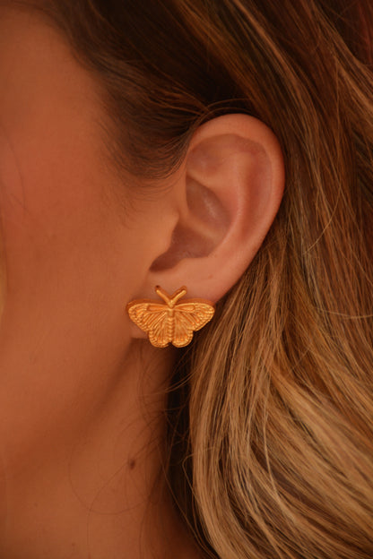Aretes Mariposa