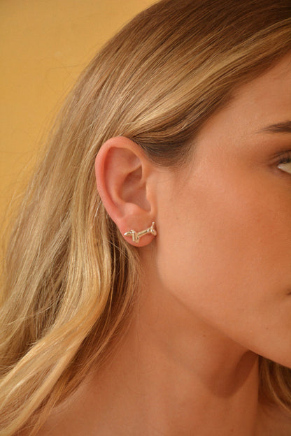 Aretes Salchidog - Silver
