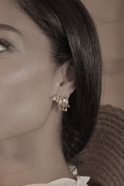 Aretes Tito