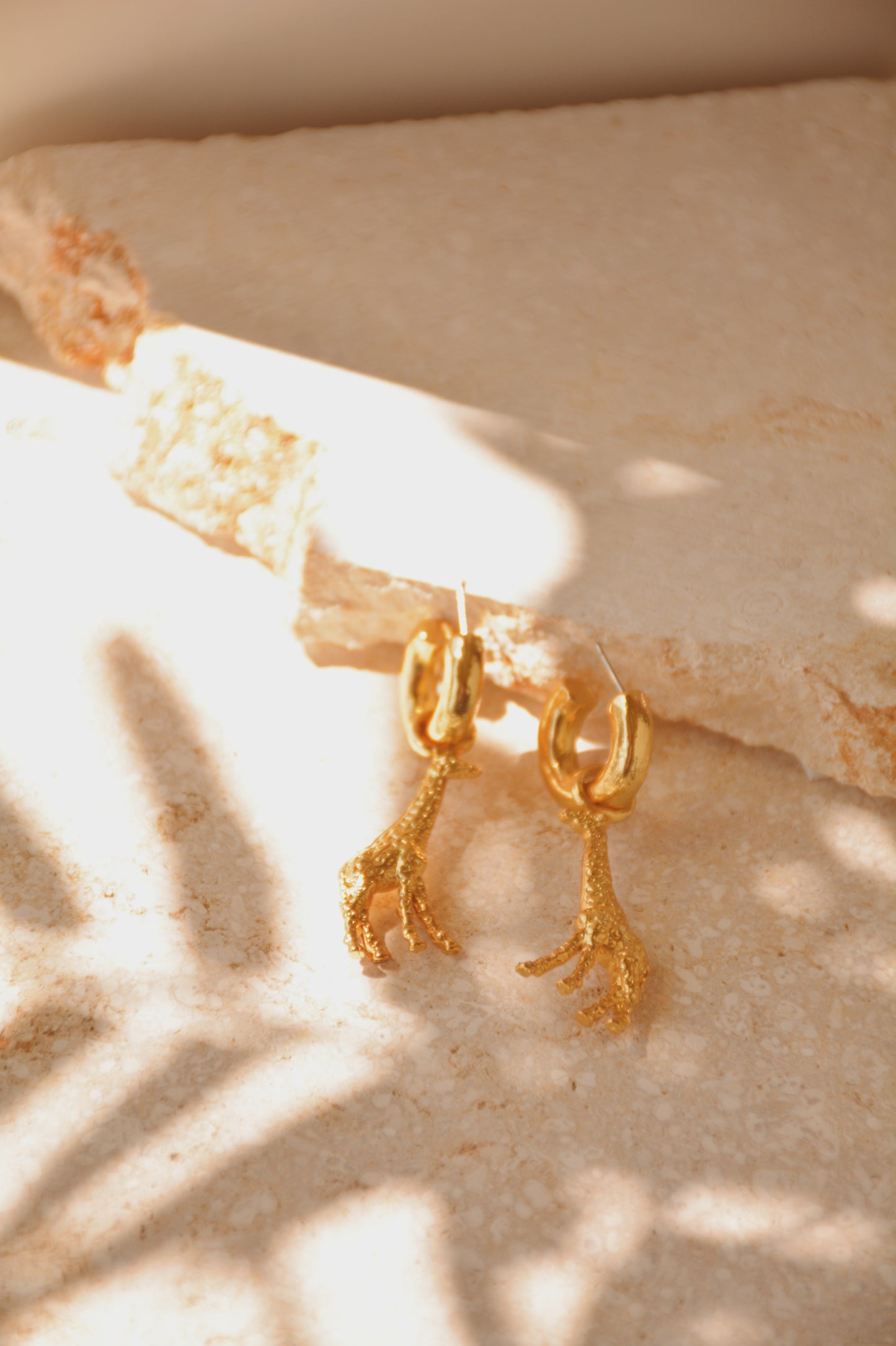 Argollas Filomena