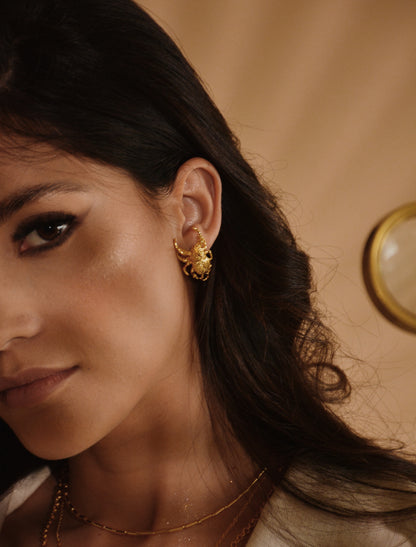 Aretes Escarabajo