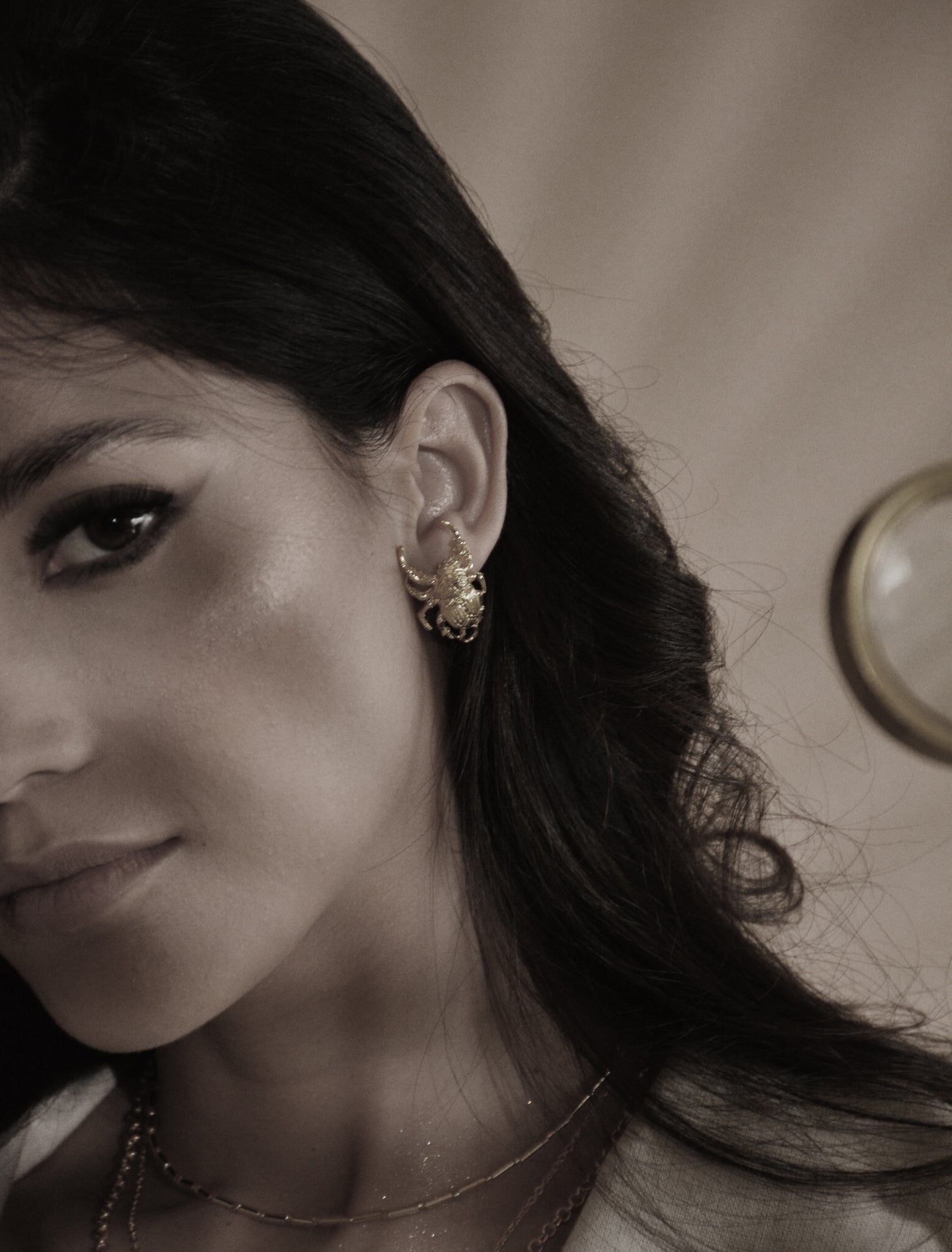 Aretes Escarabajo
