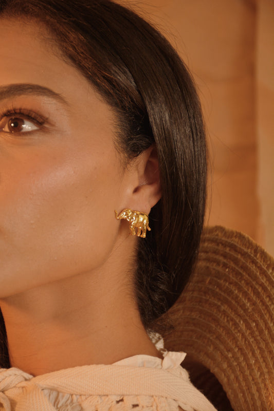 Aretes Tito