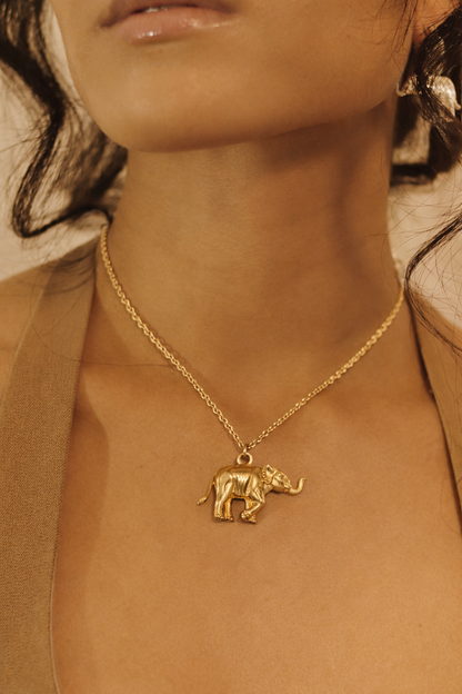 Collar Tito