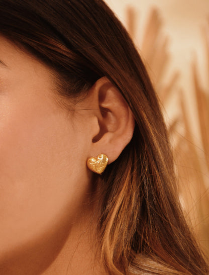 Aretes Amor