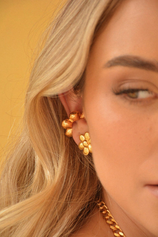 Aretes Florencia