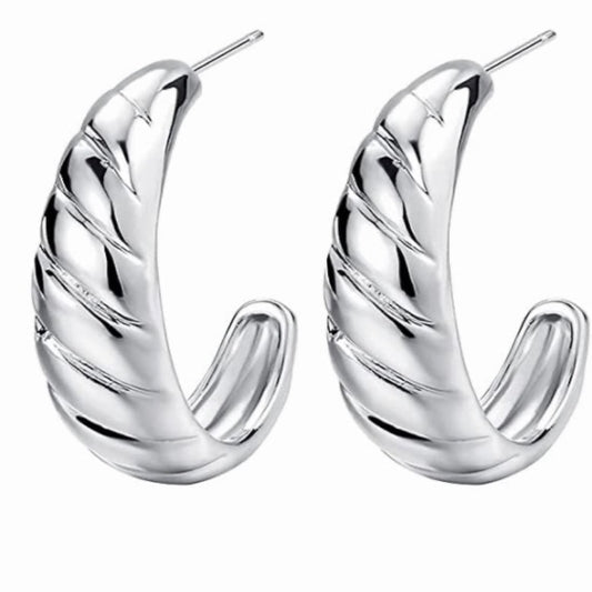 Aretes Charlotte Silver